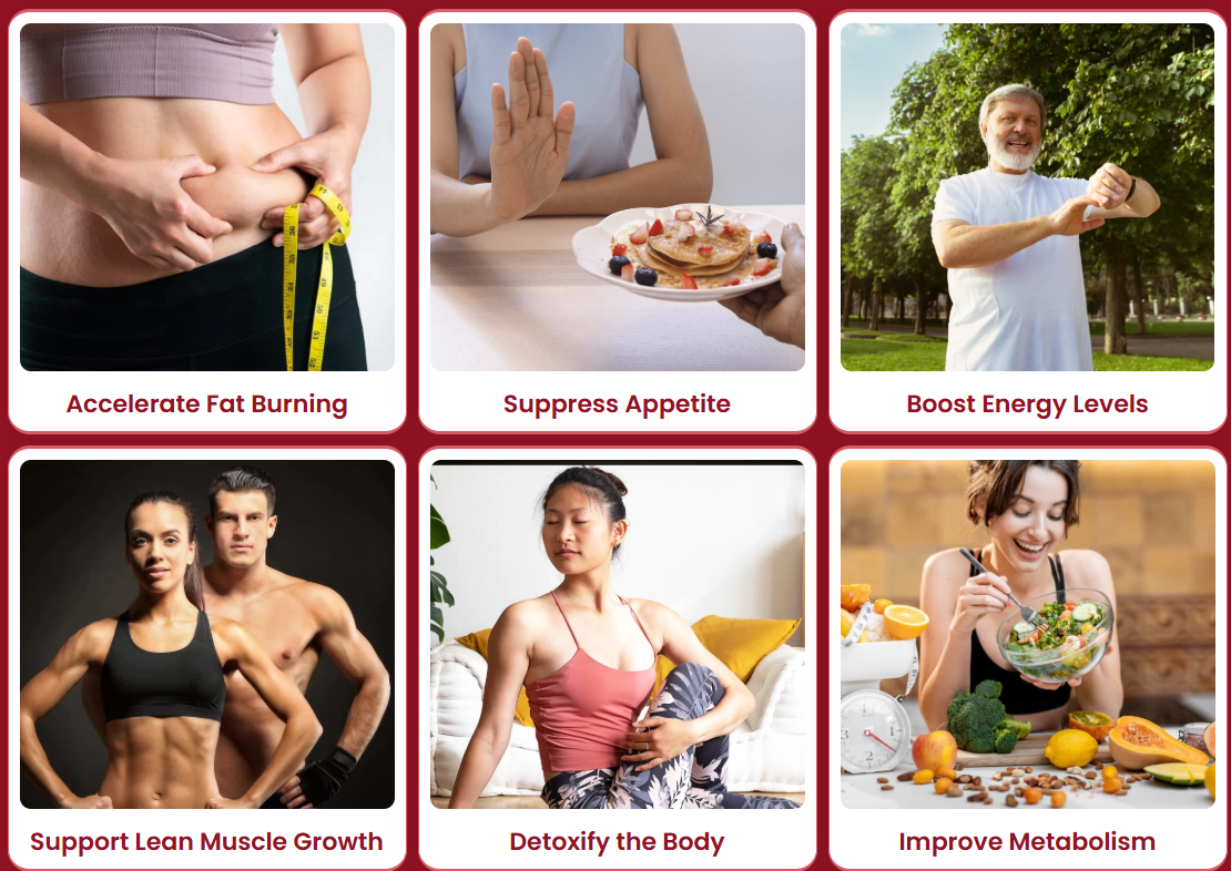 Alkatide® benefits — accelerate fat burning, suppress appetite, boost energy